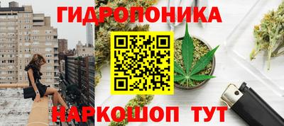 a pvp Кингисепп
