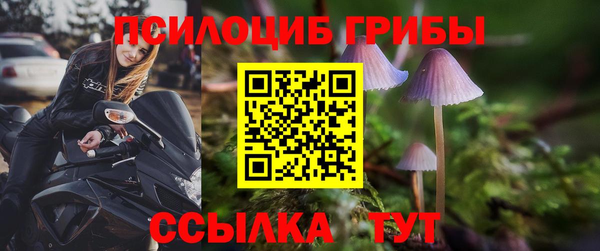 Галлюциногенные грибы мухоморы  Галлюциногенные грибы мухоморы  Вход с VPN  Котовск 